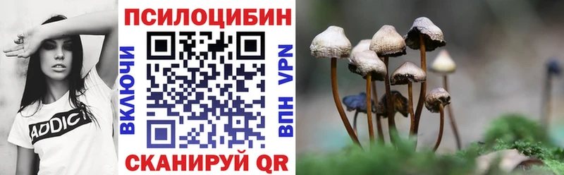 Псилоцибиновые грибы Cubensis  купить   Дегтярск 